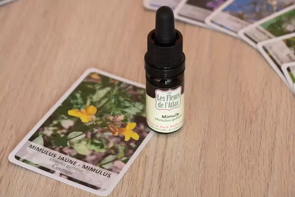 Flacon d'élixir floral posé sur une carte illustrée de fleur de Bach, sur une table en bois